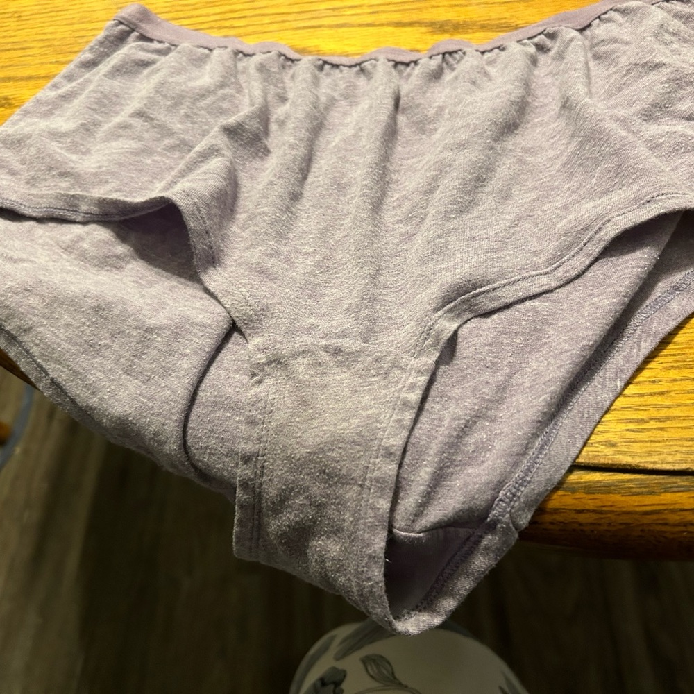 Women panties fruit of the looms